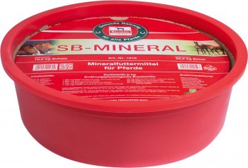 Salvana SB Mineral 10kg