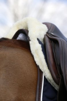 Kentucky Horsewear Sattelpad SHEEPSKIN ABSORB marineblau-natur